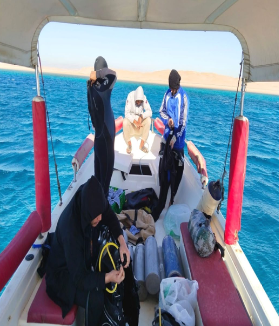 Offshore Diving